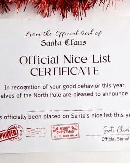 A4 nice certificate for Christmas
